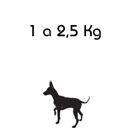 Roupa para Cachorro em Todos Tamanhos | Pet Elegante Roupa para Cachorro em Todos Tamanhos | Pet Elegante