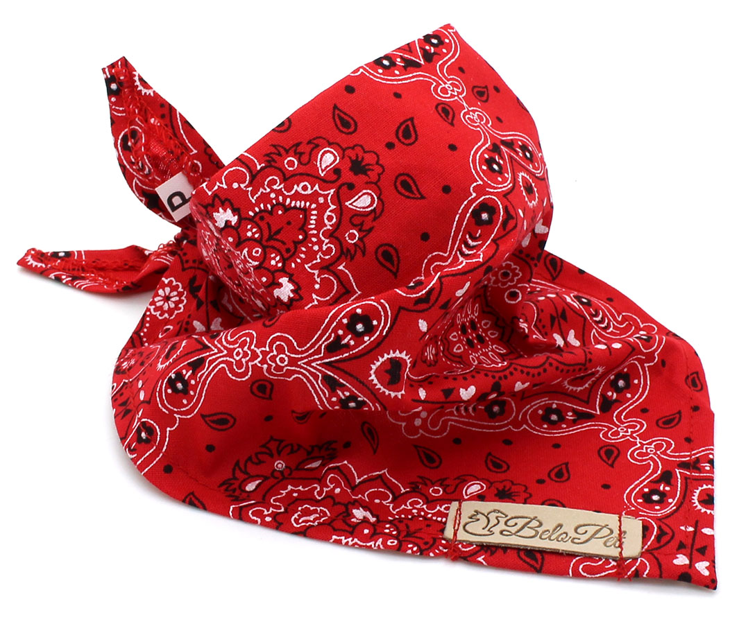 Bandana Vermelha Estampa Arabesco - Pet Elegante