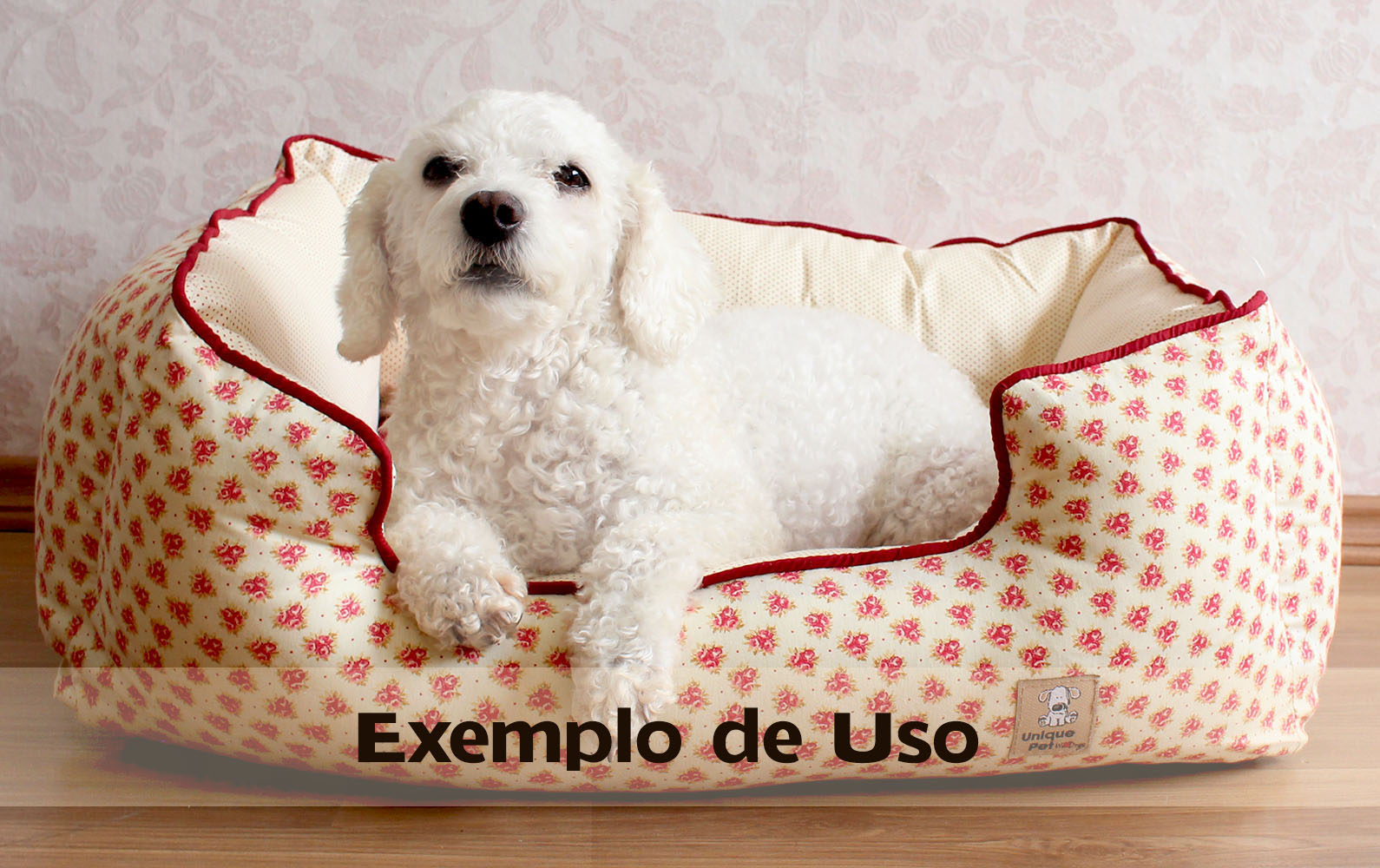 Caminha para cachorro poodle Clearance