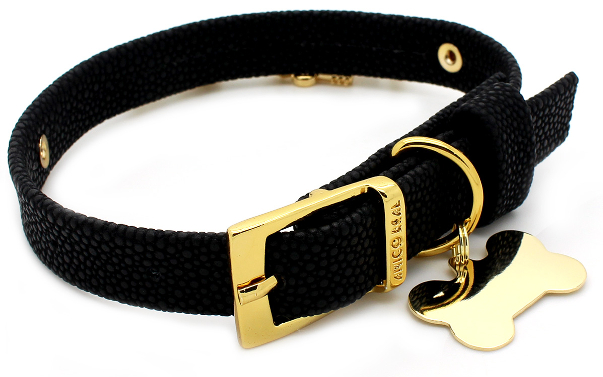 Coleira Pandora em Courino Preto e Pingente Folheado a Ouro - Gravação Nome  e Telefone - Pet Elegante