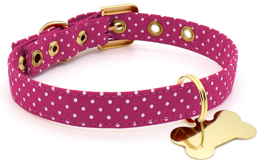Coleira para cachorro fêmea clearance