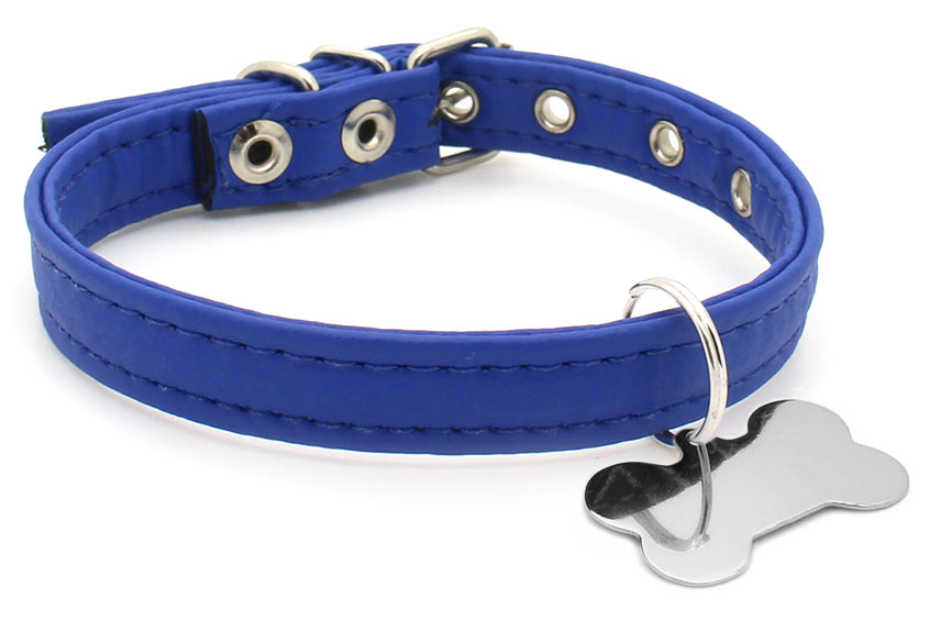 Coleira para cachorro azul
