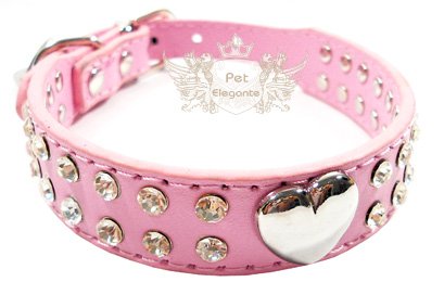 Coleira strass cachorro clearance