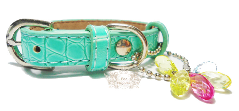 Coleira celeste Clearance