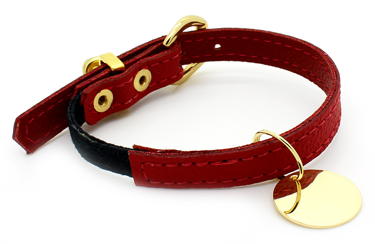 Coleira para Gatos Elástico Courino Vermelho e Pingente Folheado com Nome e  Telefone - Pet Elegante