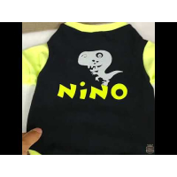 Blusa Dino Rino - Molecotton com Nome do Pet