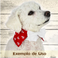 Colarinho com Gravata para Cachorro e Gato - Azul e Amarelo Estrela - Belo Pet