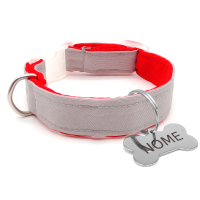 Coleira Coleção Silver - com Pingente Inox