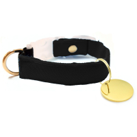 Coleira de Gato Basic - com Pingente Dourado