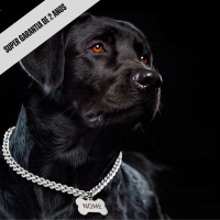 Corrente para Cachorro com Plaquinha Personalizada - Zeus