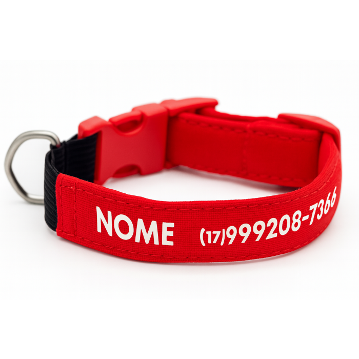 Coleira de Gato Basic - Personalizada com Nome