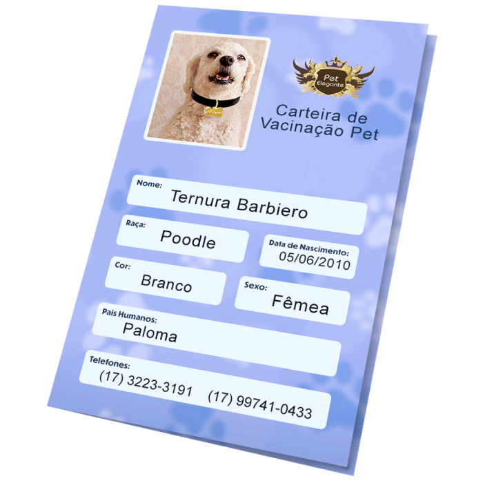 Carteirinha de Vacinação Personalizada Azul