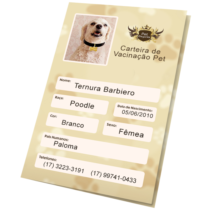 Carteirinha de Vacinação Personalizada Bege