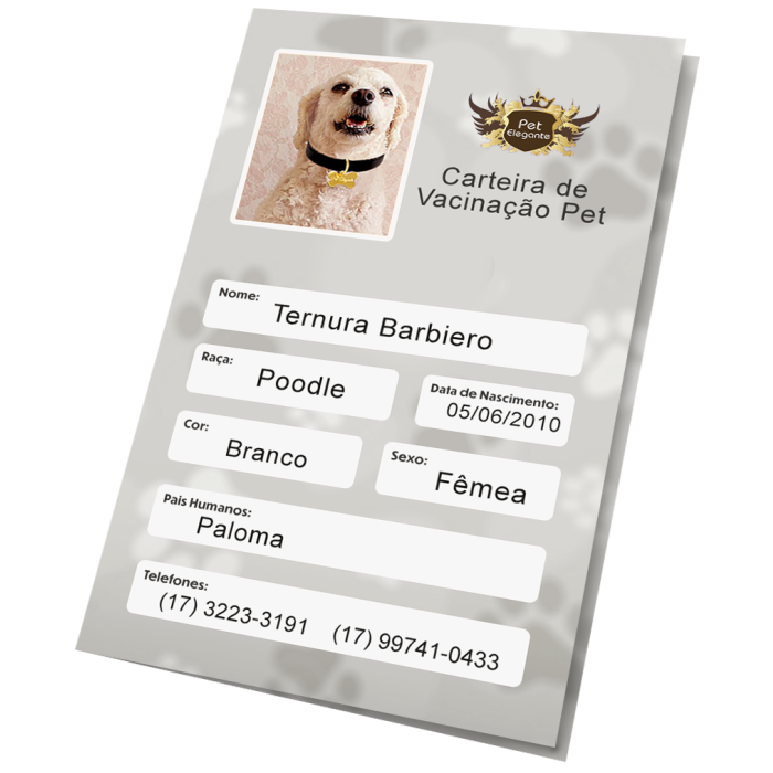 Carteirinha de Vacinação Personalizada Cinza