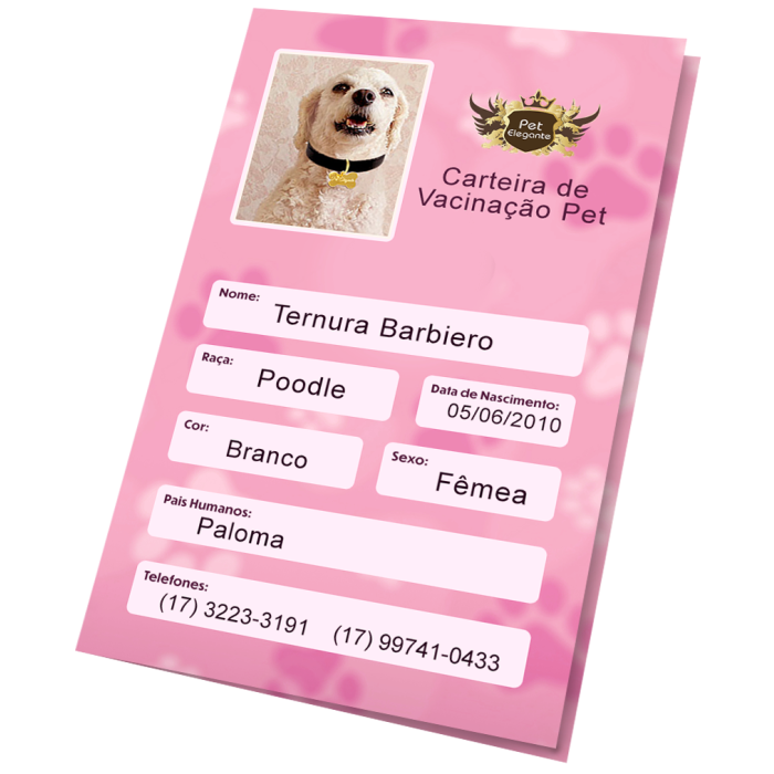 Carteirinha de Vacinação Personalizada Rosa