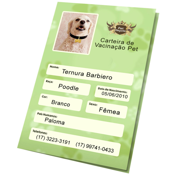 Carteirinha de Vacinação Personalizada - Verde