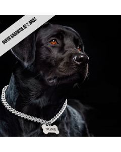 Corrente para Cachorro com Plaquinha Personalizada - Zeus