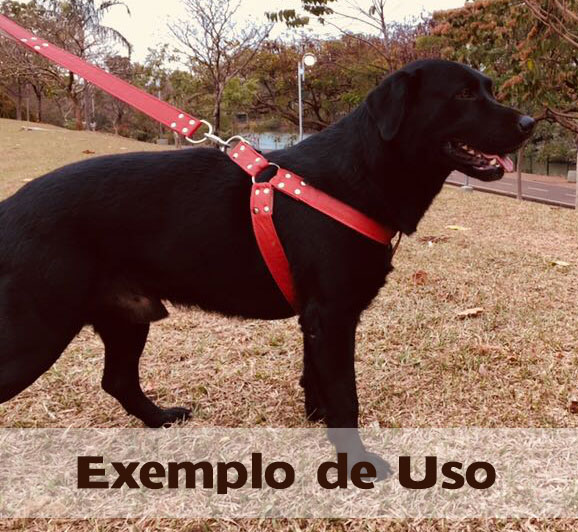 Peitoral Americano para Cachorro Grande - Courino Matelassê Vermelho - Sem  Guia - Pet Elegante