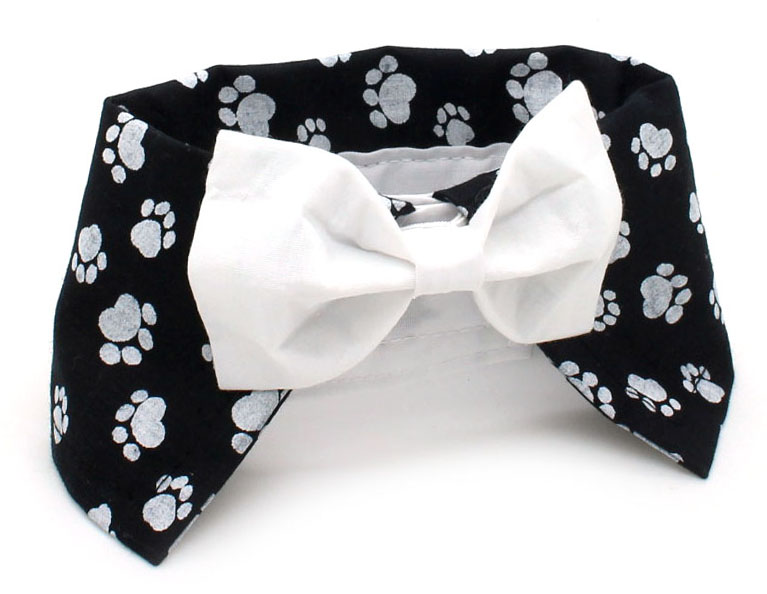 Colarinho com gravata pet clearance