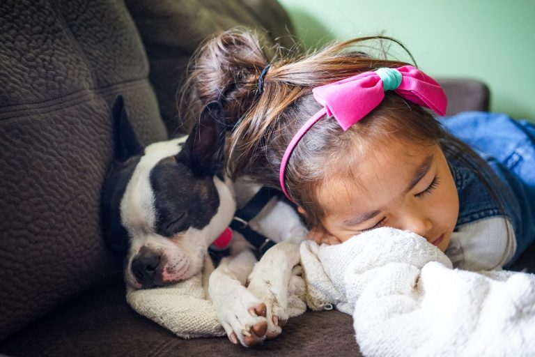 cachorro dormindo com garota em sofá