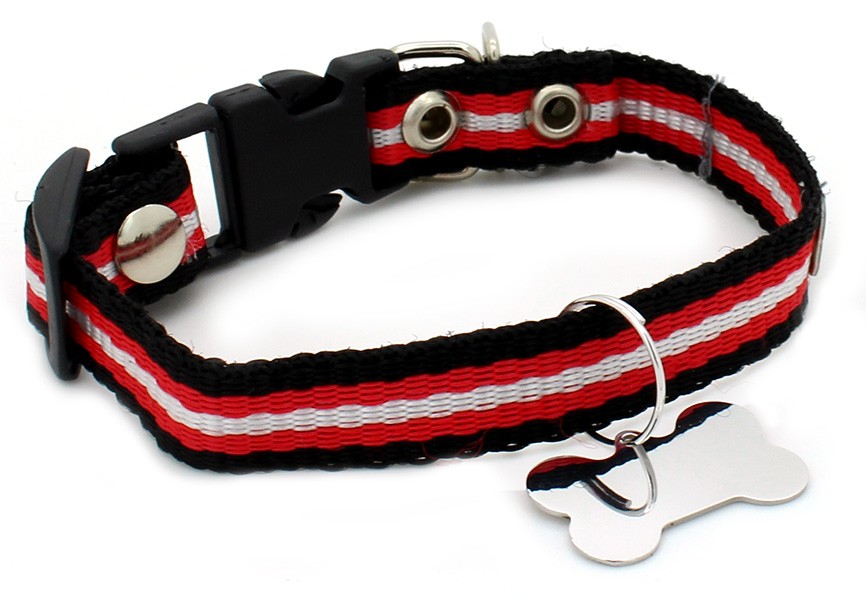 coleira para cachorro em nylon com pingente de identificação