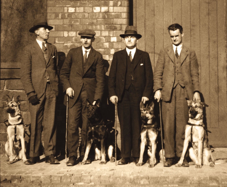primeiros cães-guia